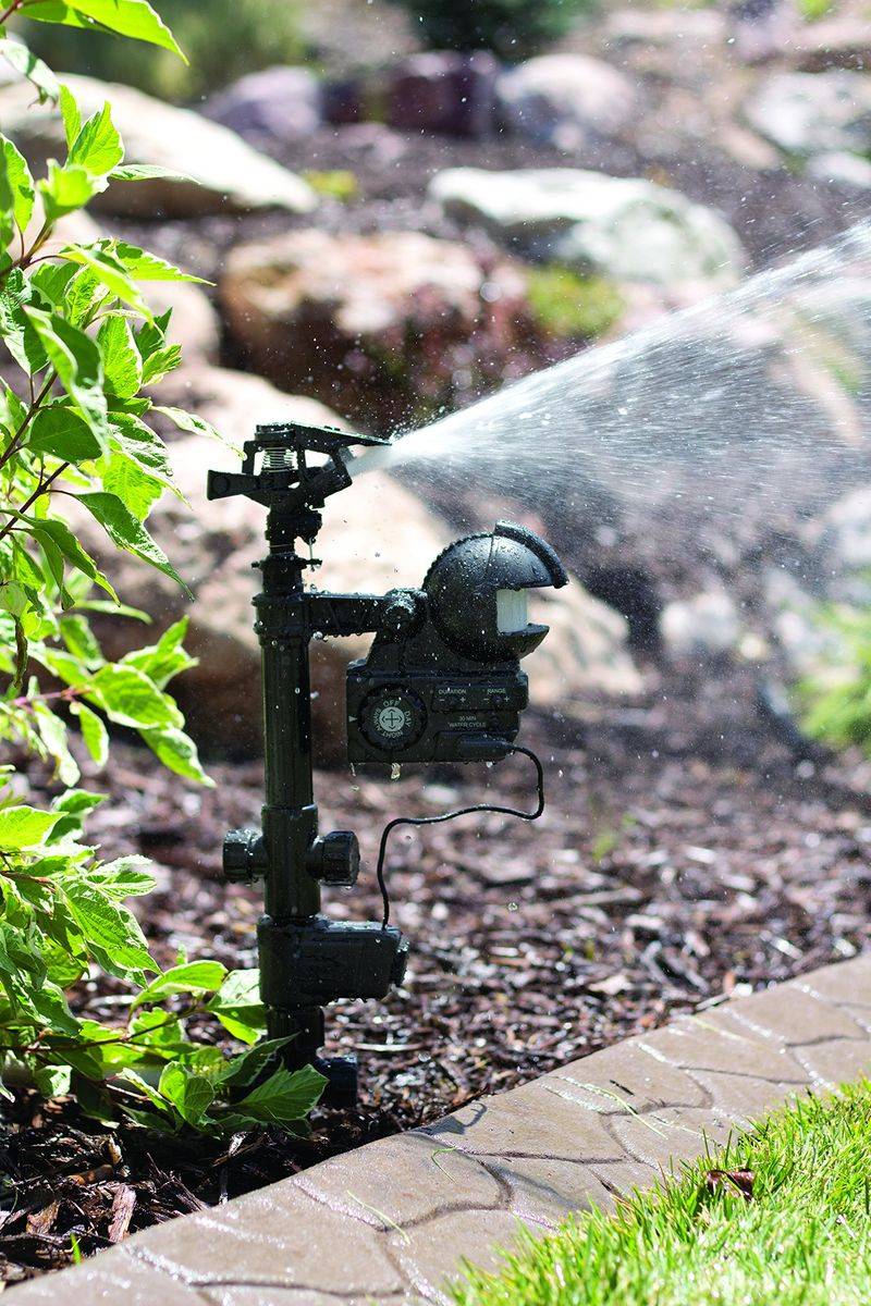 Install Motion-Activated Sprinklers