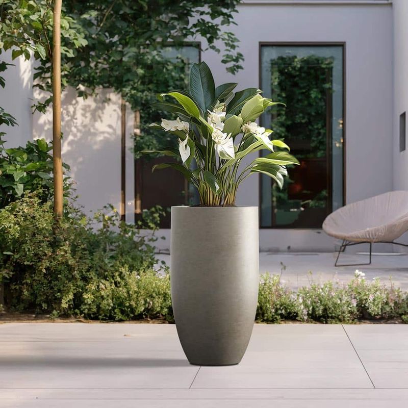 Large, Statement Planters (Stone, Concrete, or Metal)