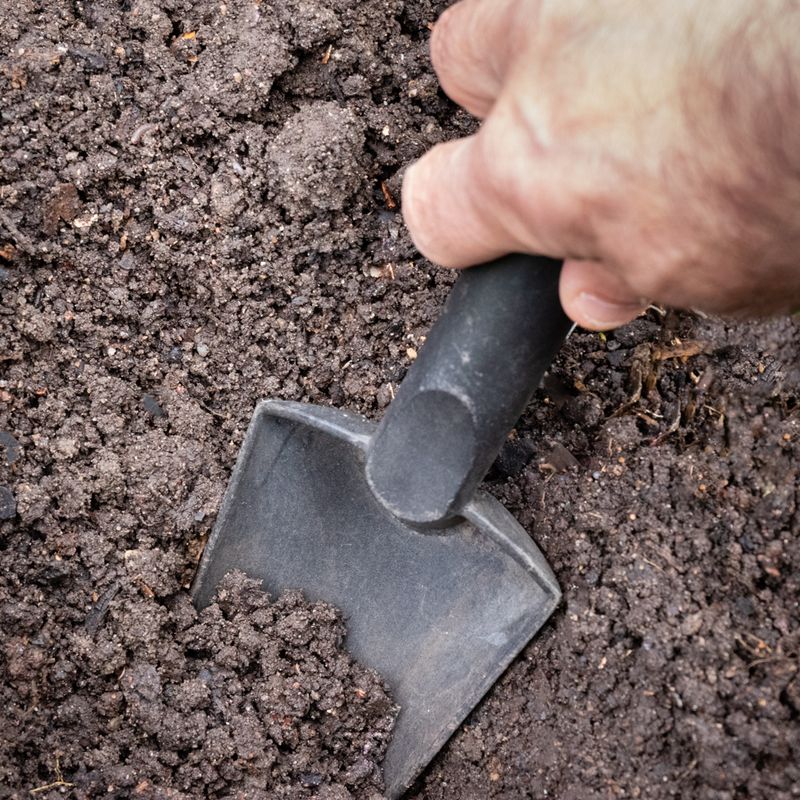 Soil Texture Observation