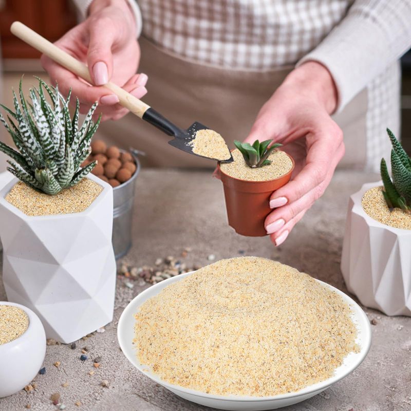 Silica Sand Sensation