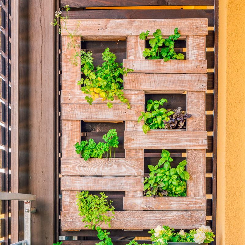 Vertical Herb Garden