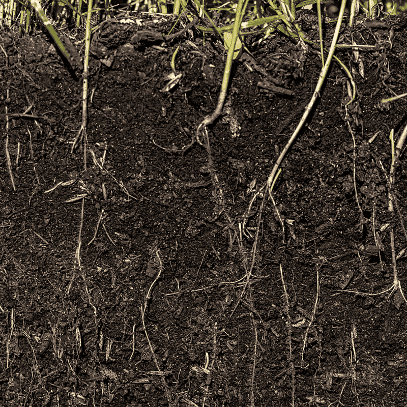 Improved Soil Health