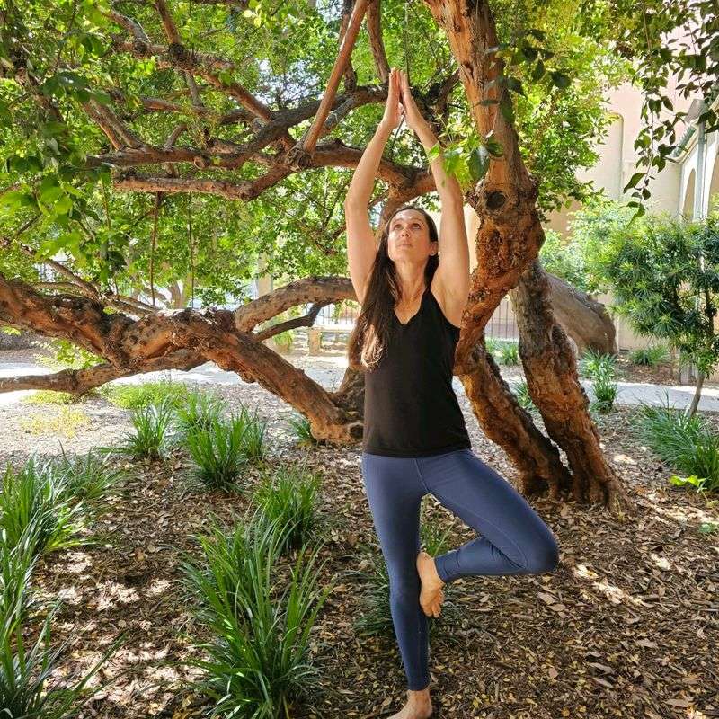 Tree Pose under the Oak