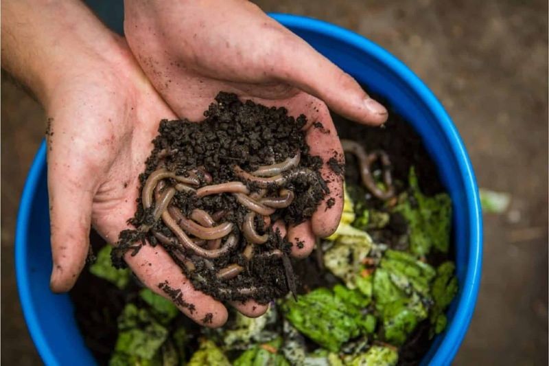 Application Techniques