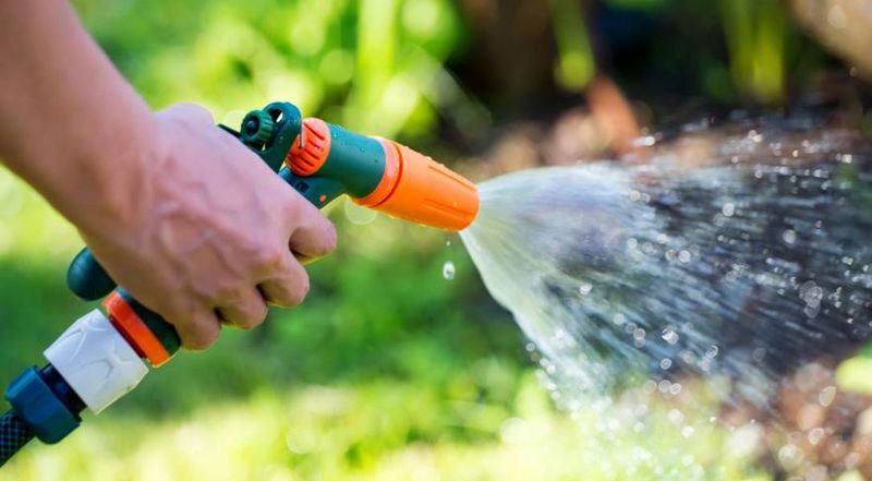 Pre-Sunrise Serenity