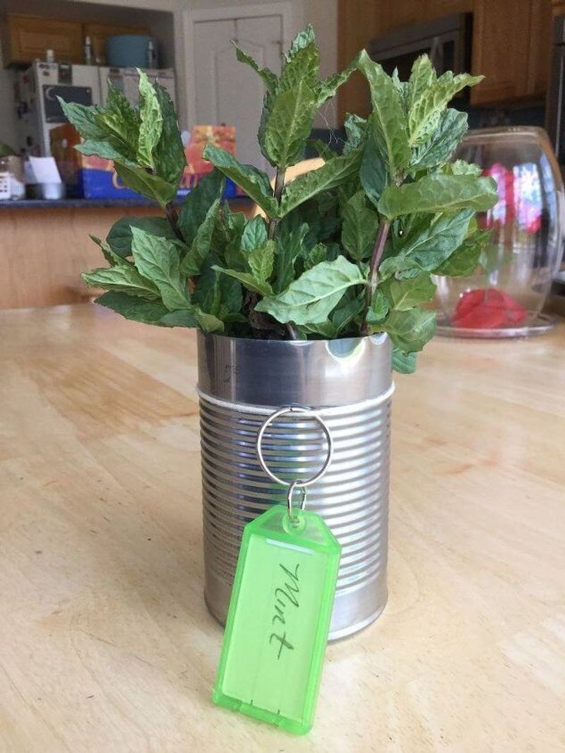 Recycled Tin Can Tags