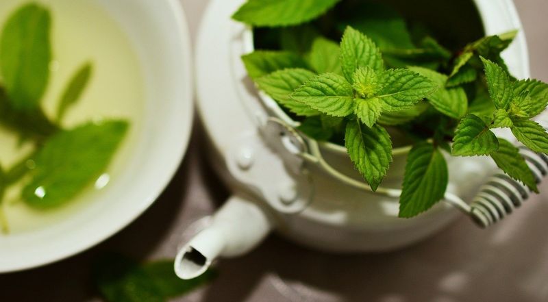 Mint's Influence on Human Hormones