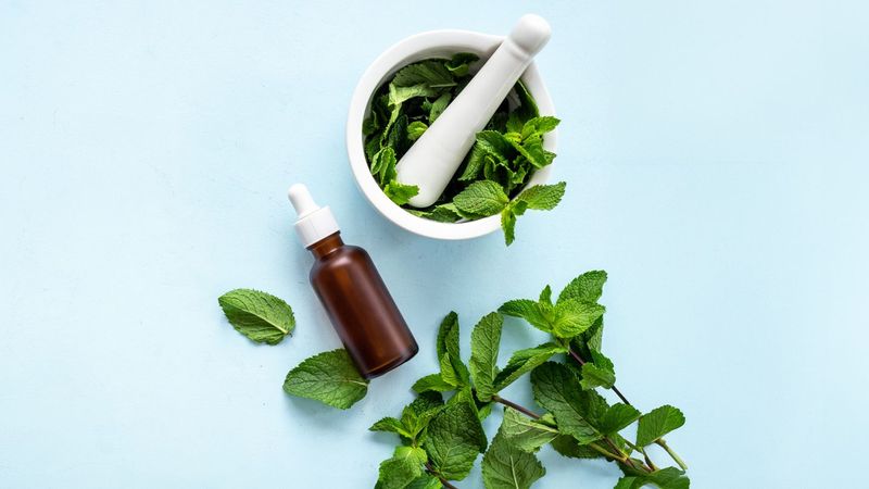 Mint's Role in Digestive Distress