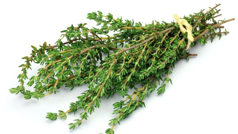 Thyme