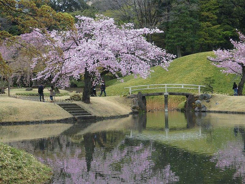 Koishikawa Korakuen Garden, Japan