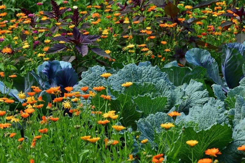 Ignoring Root Competition