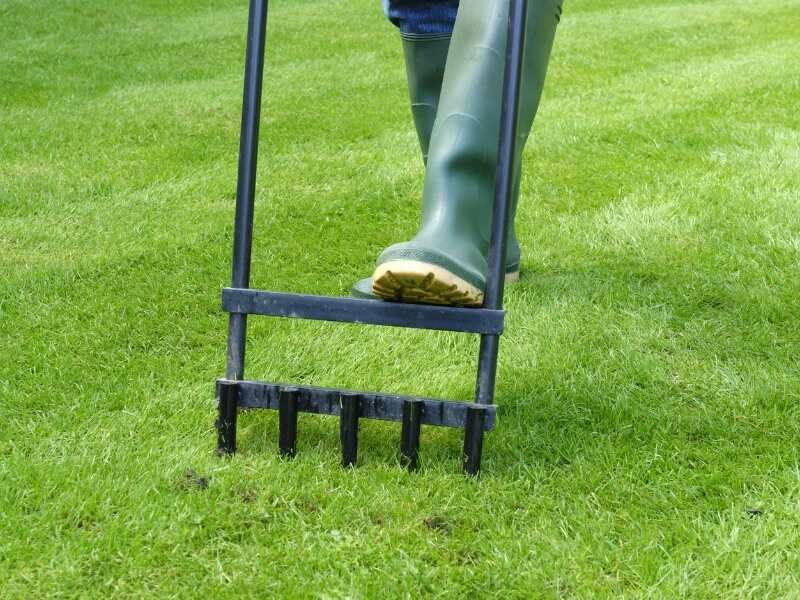 Aerate the Soil