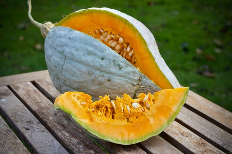 Blue Hubbard Squash