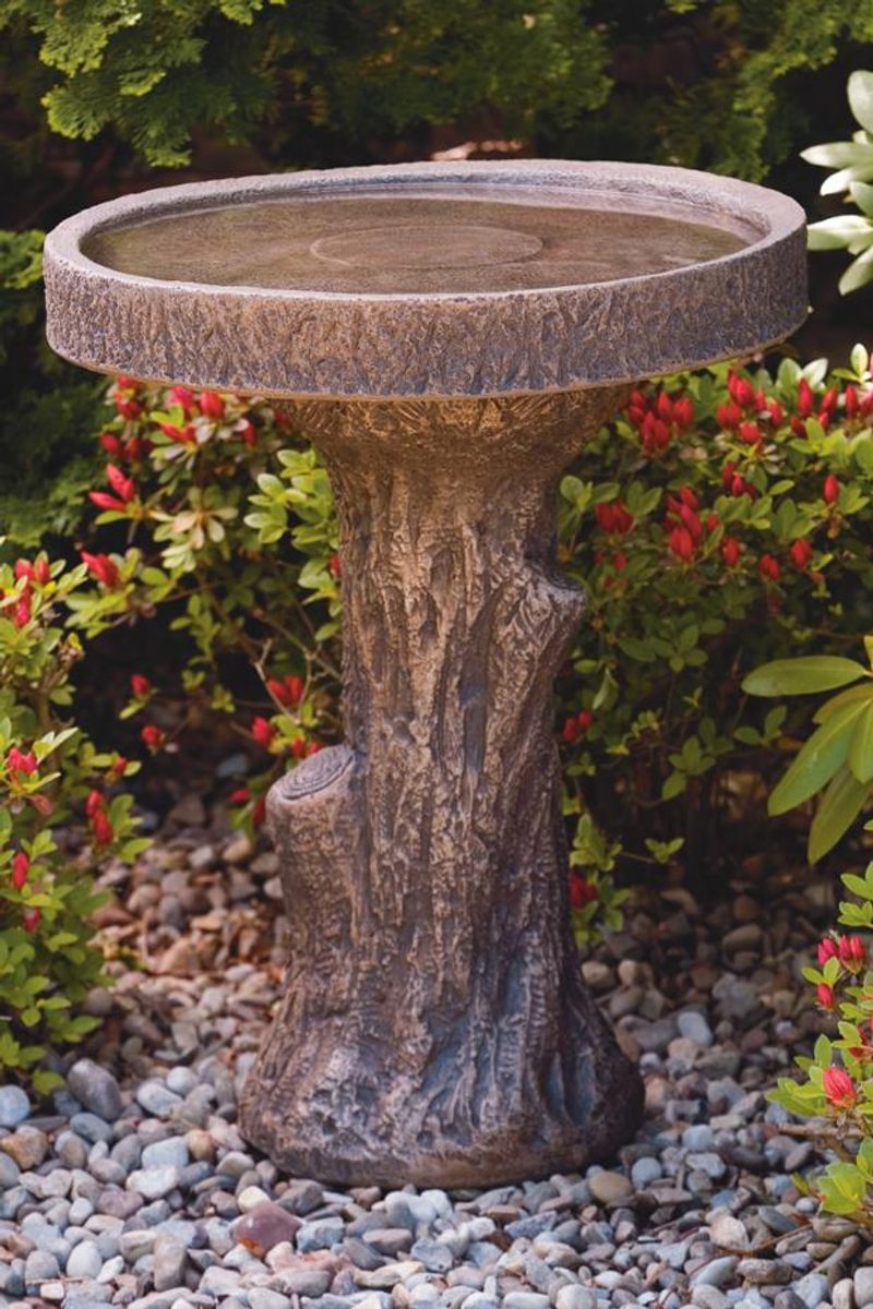 Birdbath Bonanza