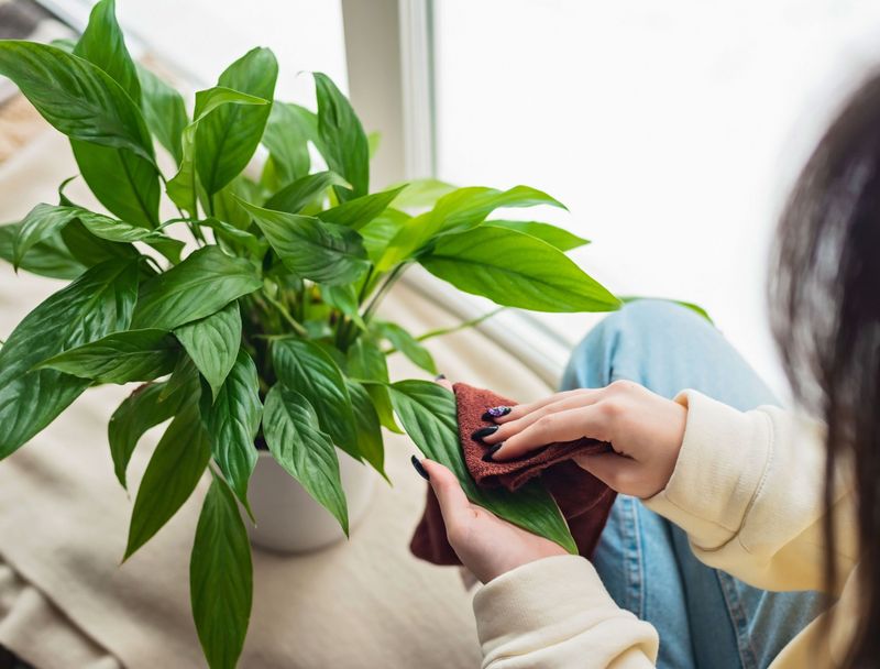 Ignoring Dust Build-Up