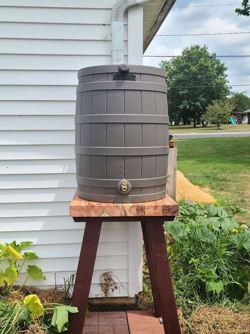 Rainwater Harvesting