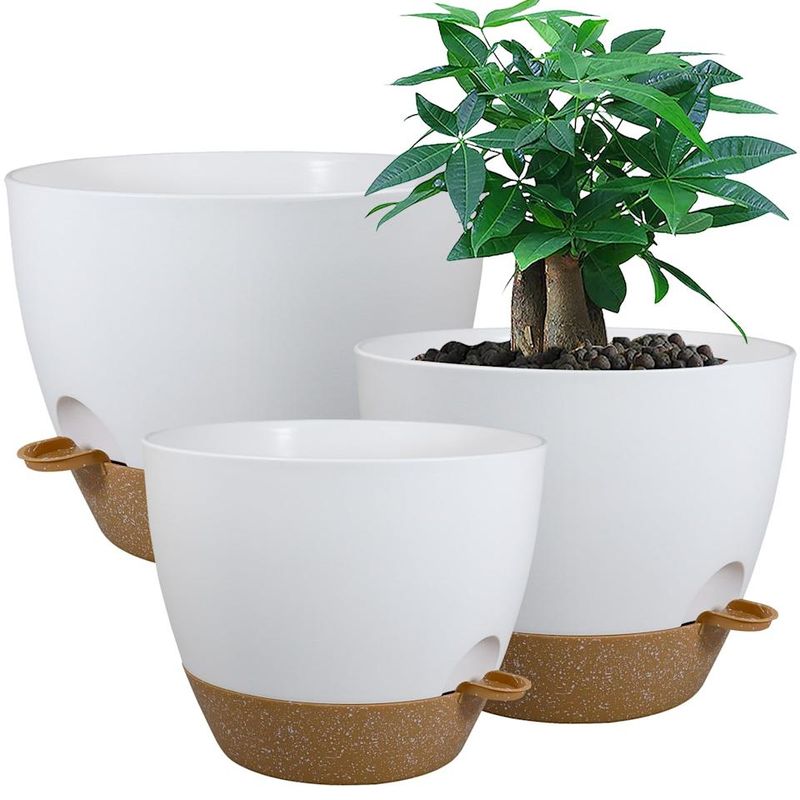 Myth 13: Self-Watering Pots are Best