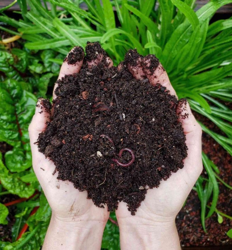 Composting