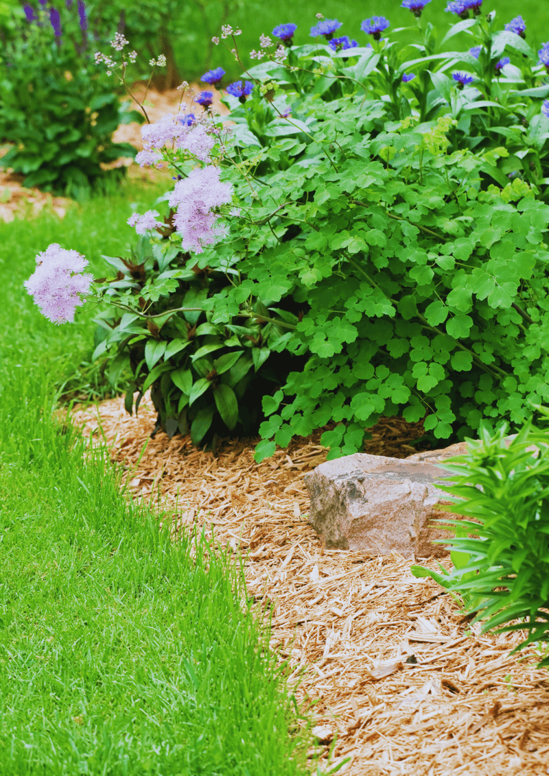 Temperature Regulation