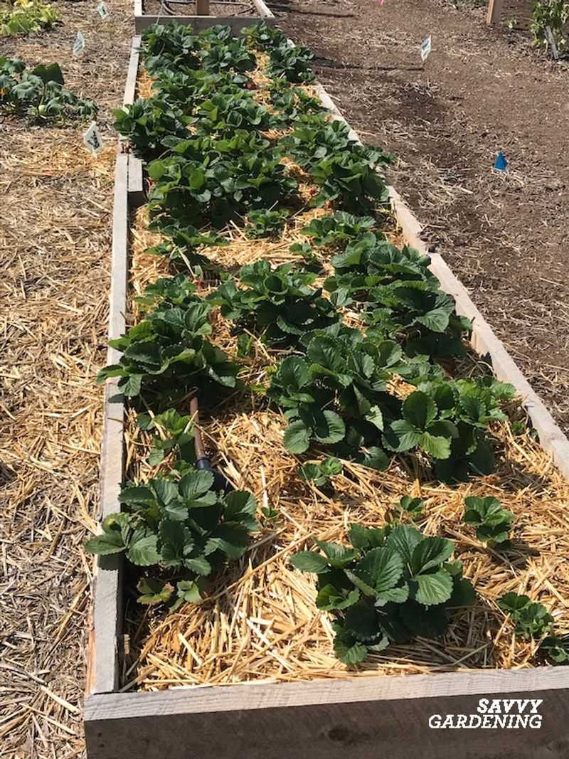 Avoiding Overcrowding for Better Airflow