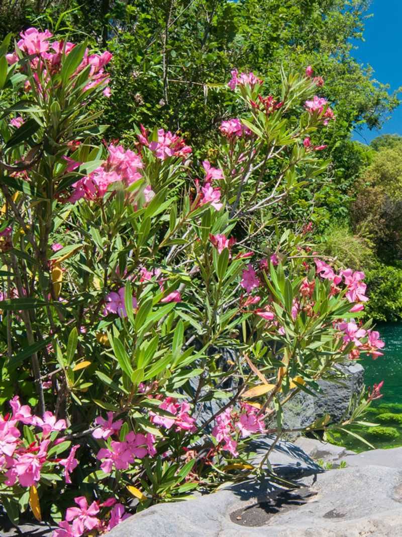 Air Pollution Filter