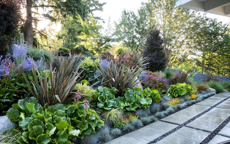 Layered Planting (Tall Trees, Mid-Height Shrubs, Ground Cover)