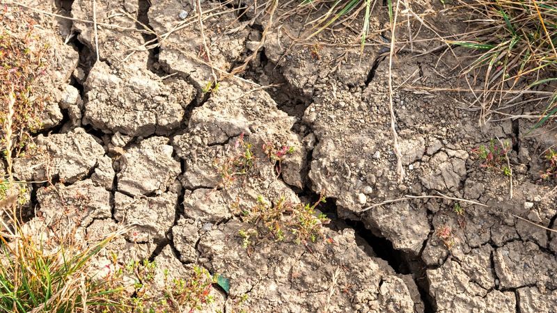 Cracked Soil Surface