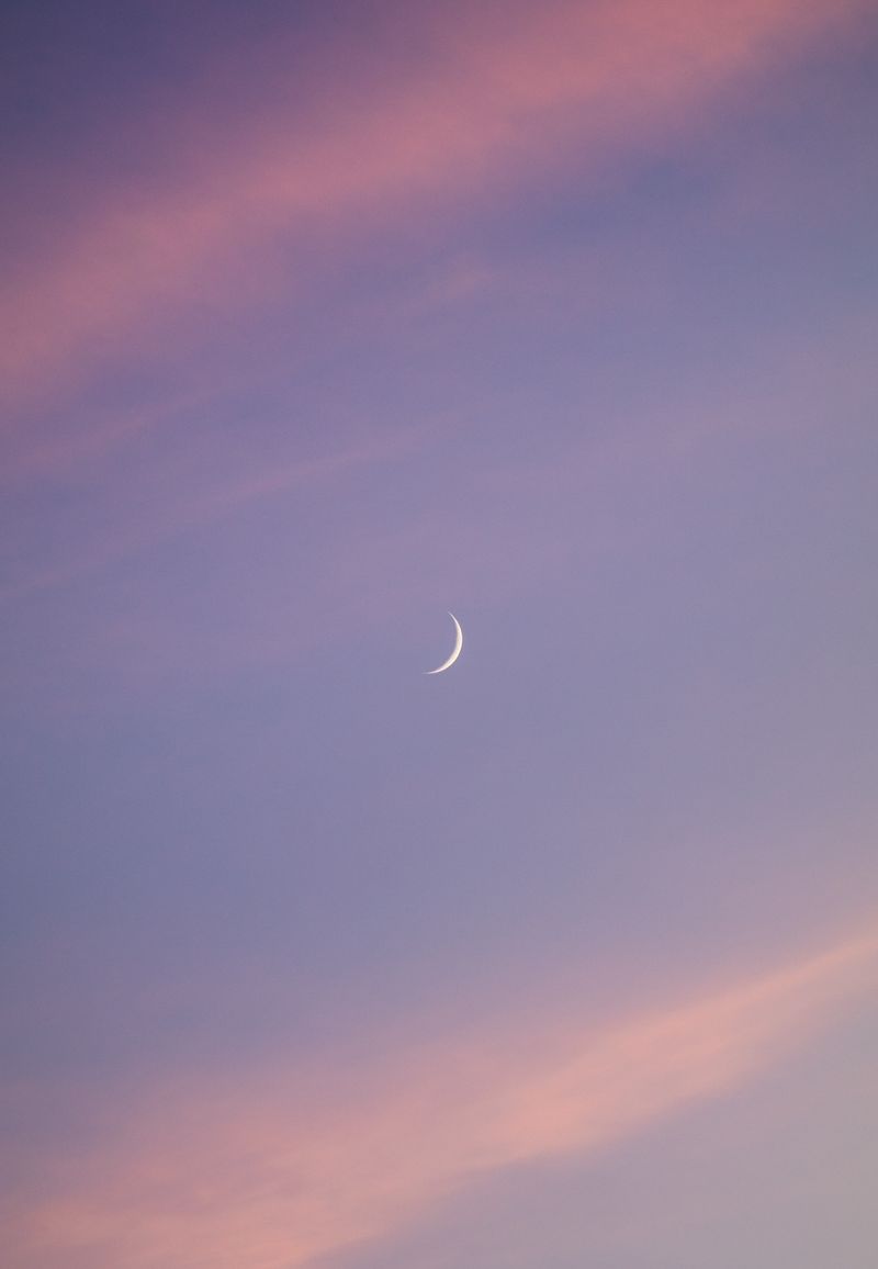 Waxing Crescent Growth