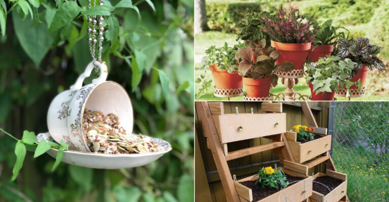 No Budget? No Problem! 20 Upcycled Garden Projects That Look Million-Dollar