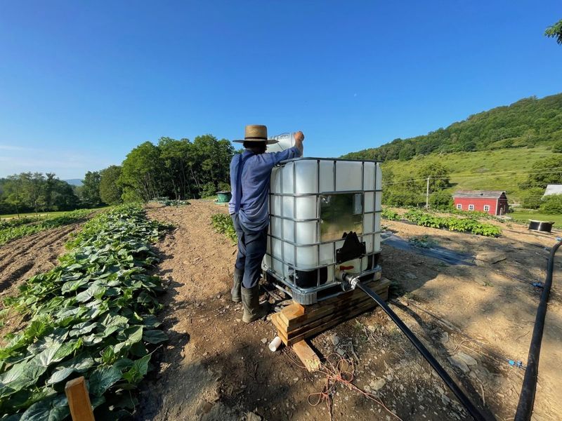Watering Is Done With Intention, Not Automation