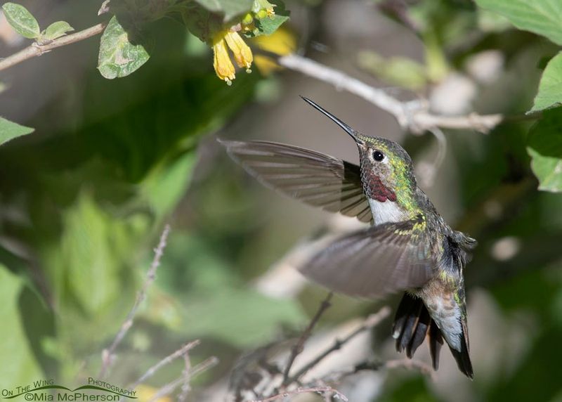 Overcrowding or Noise