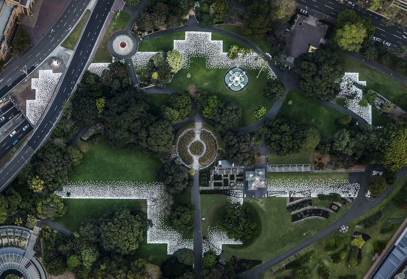 Royal Botanic Garden, Sydney