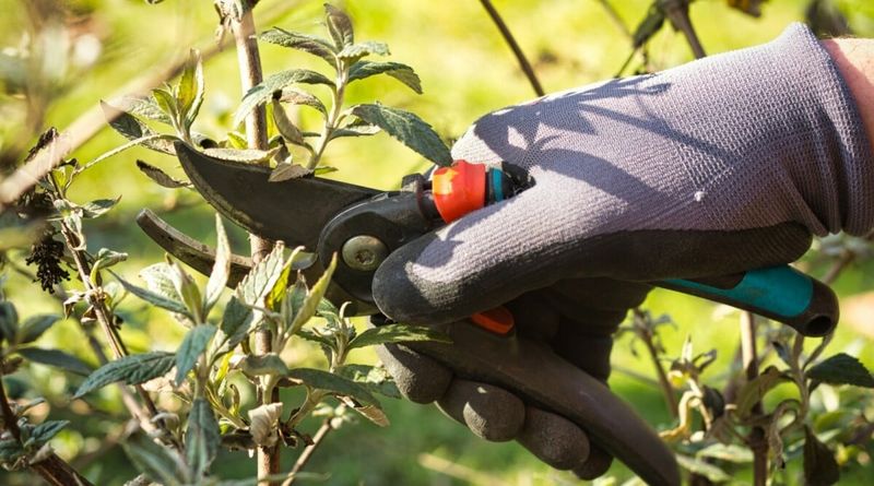 Over-Complicating Pruning Techniques