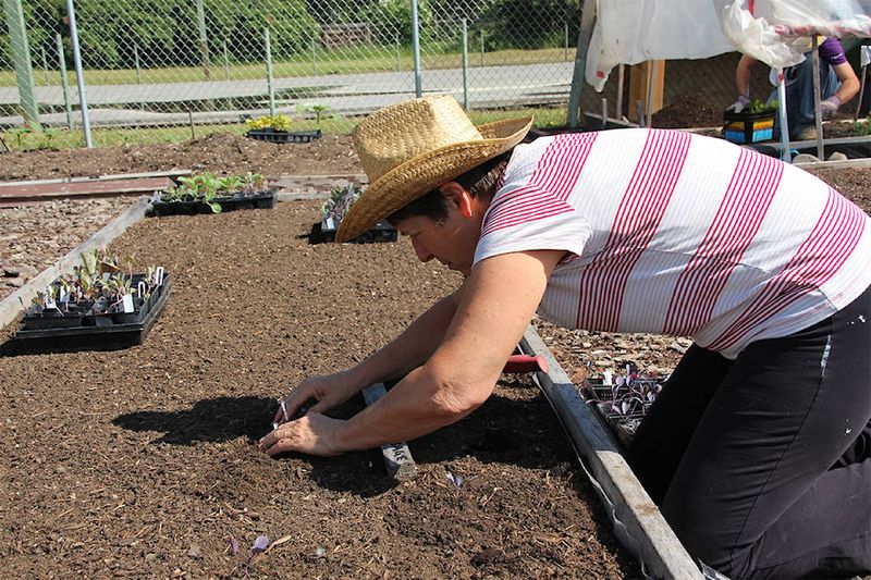 Planting in the Same Spot Every Year