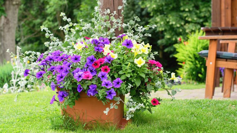 Ignoring Seasonal Changes