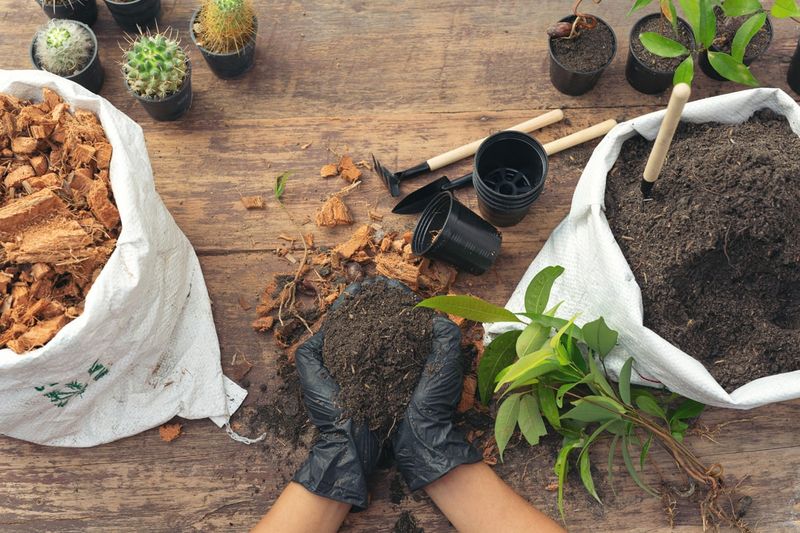 Ignoring Soil Quality