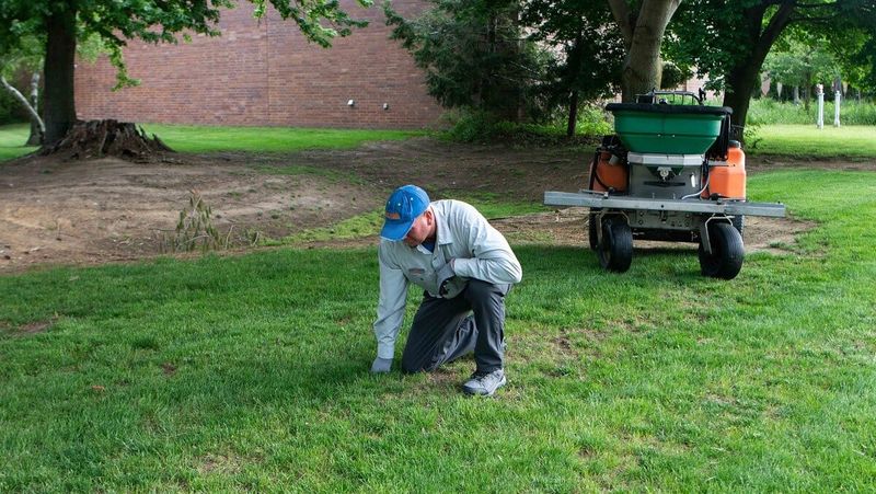 Applying Fertilizer in Shade