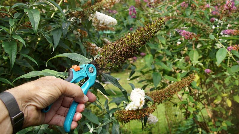 Ignoring the Weather Forecast