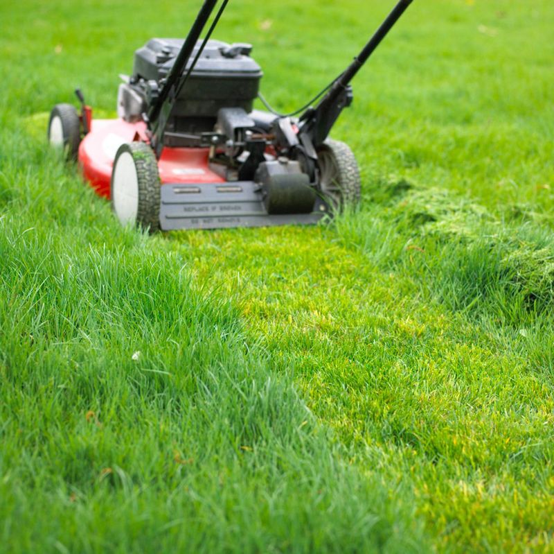 Frequent Mowing