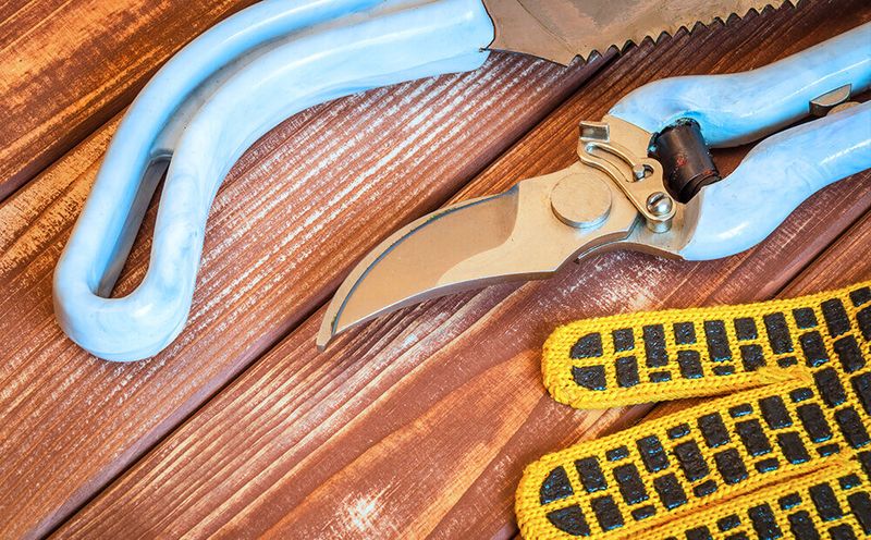 Failing to Clean Tools