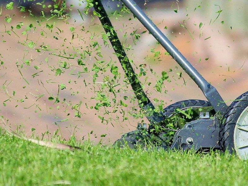 Leave Grass Clippings (Free Fertilizer!) 🍃