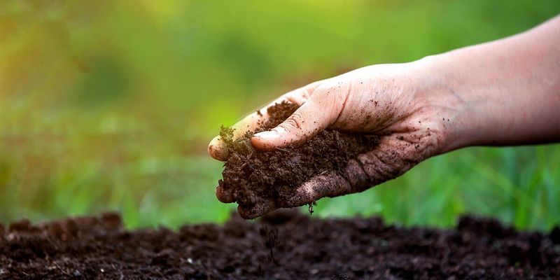 Ignoring Soil Quality