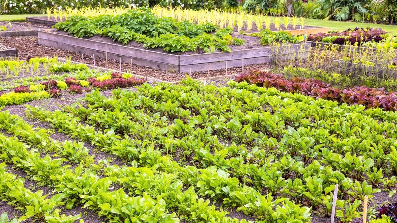 Ignoring Spacing Guidelines