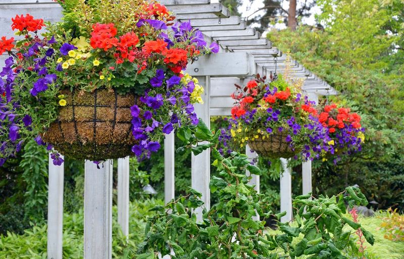 Add Hanging Baskets for Eye-Level Color