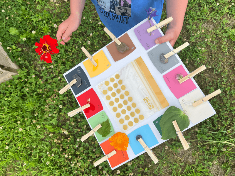 Creating a Rainbow Scavenger Hunt