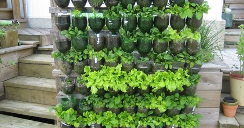 Bottle Tower Garden