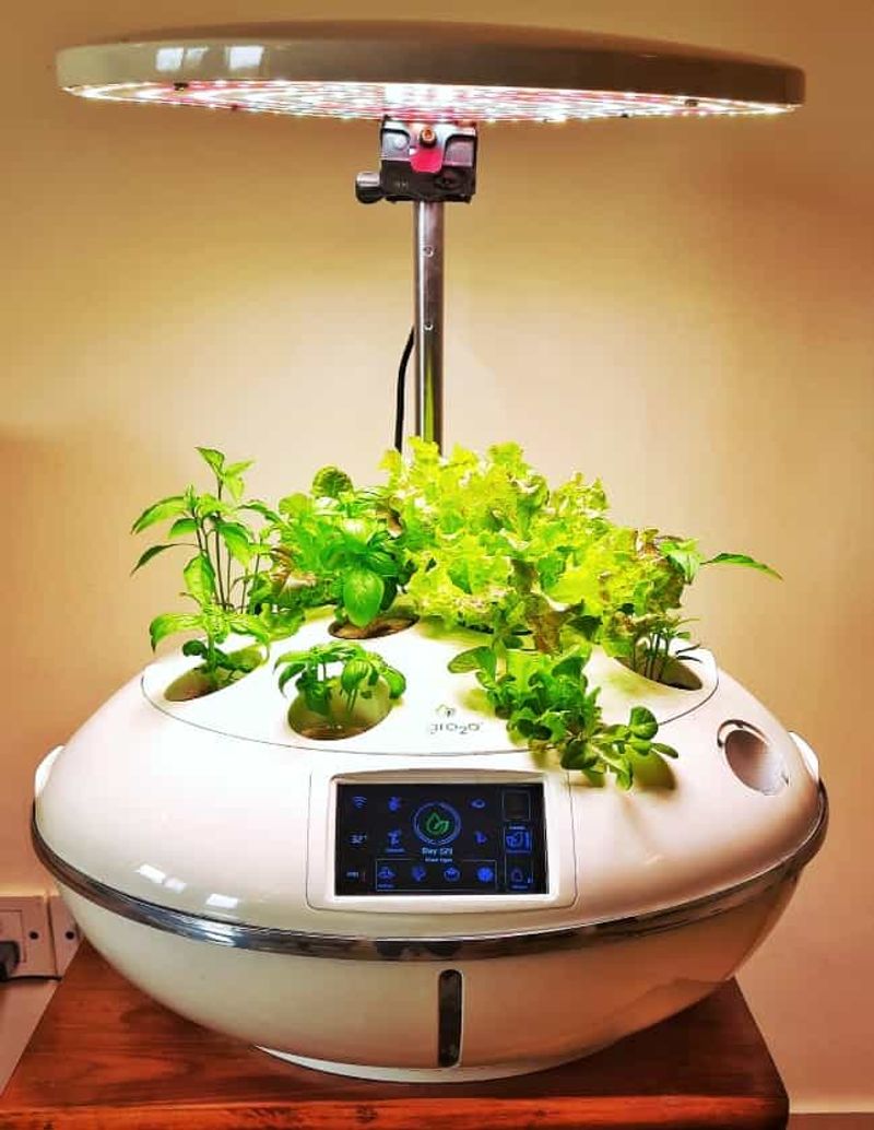 Hydroponic Home Gardens