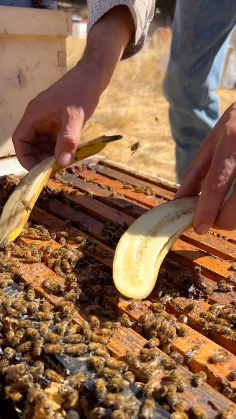 Pollinator Attractant