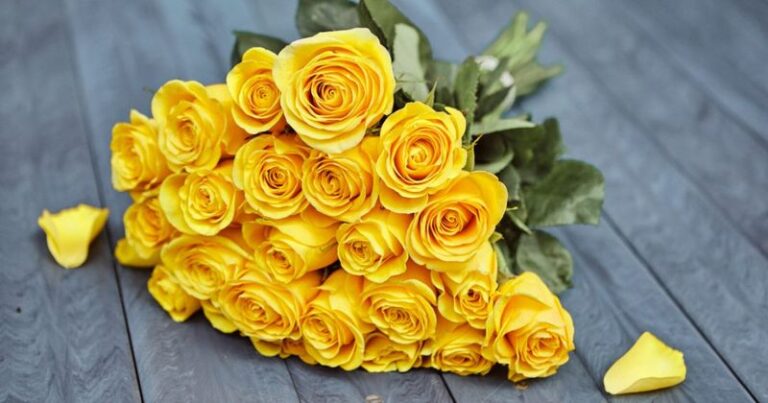 Romantic Roses and Their Secret Meanings - Complete Gardening