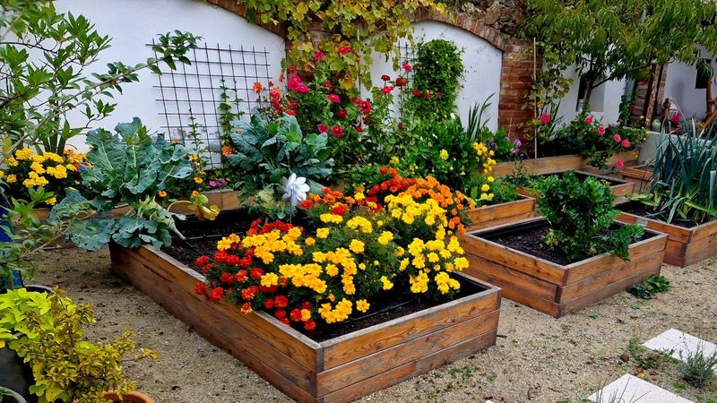 Choose the Right Plants